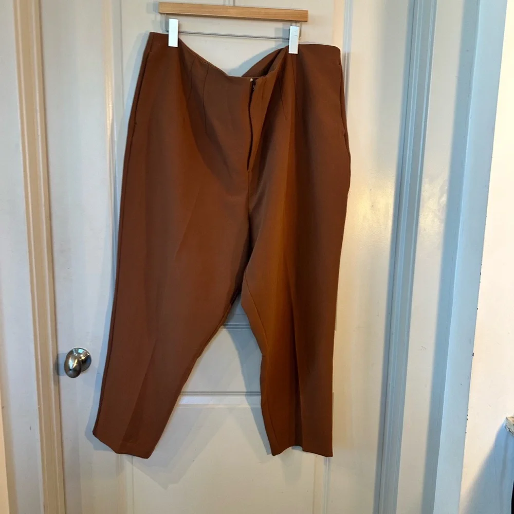 Eloquii pants size